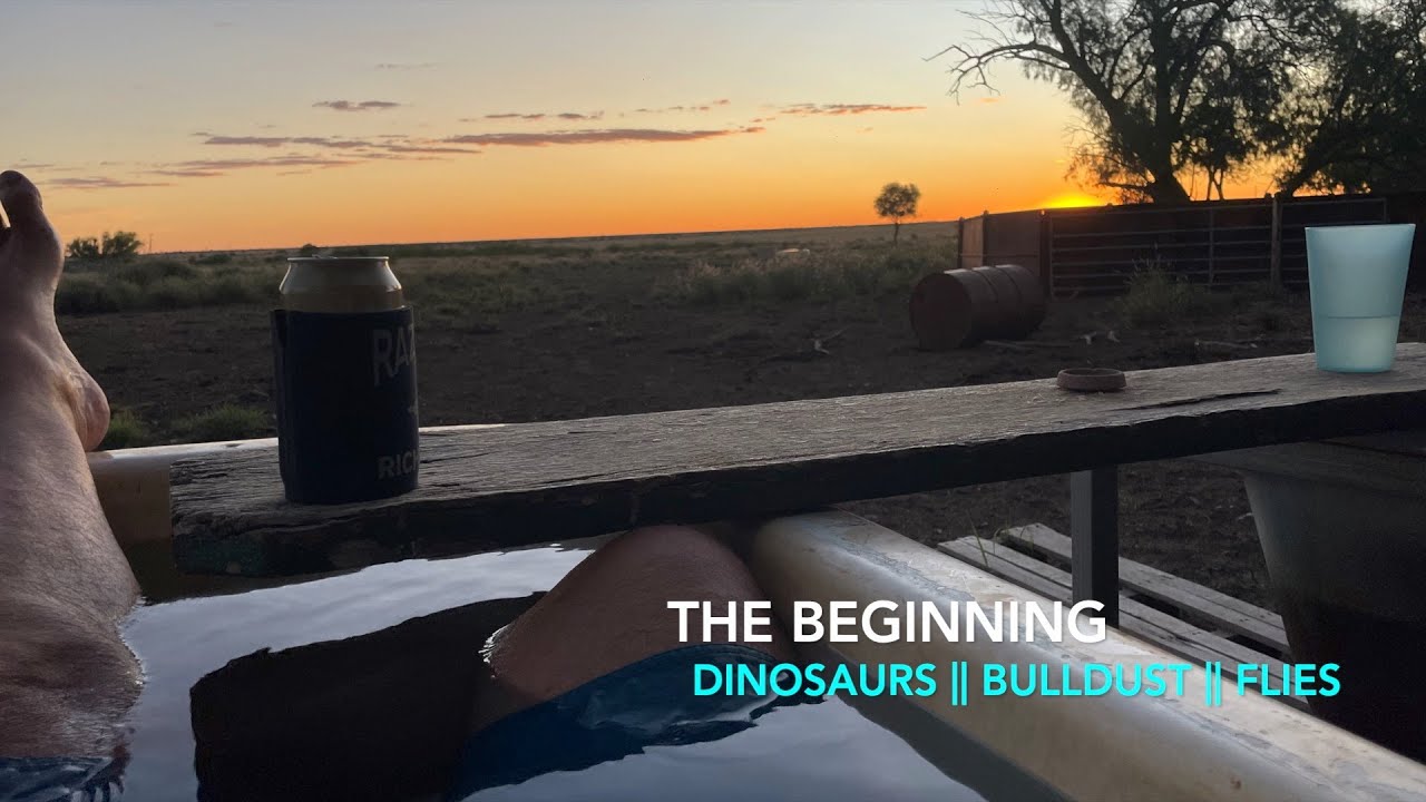 Dinosaurs Bulldust and Flies || 2022 Series Introduction
