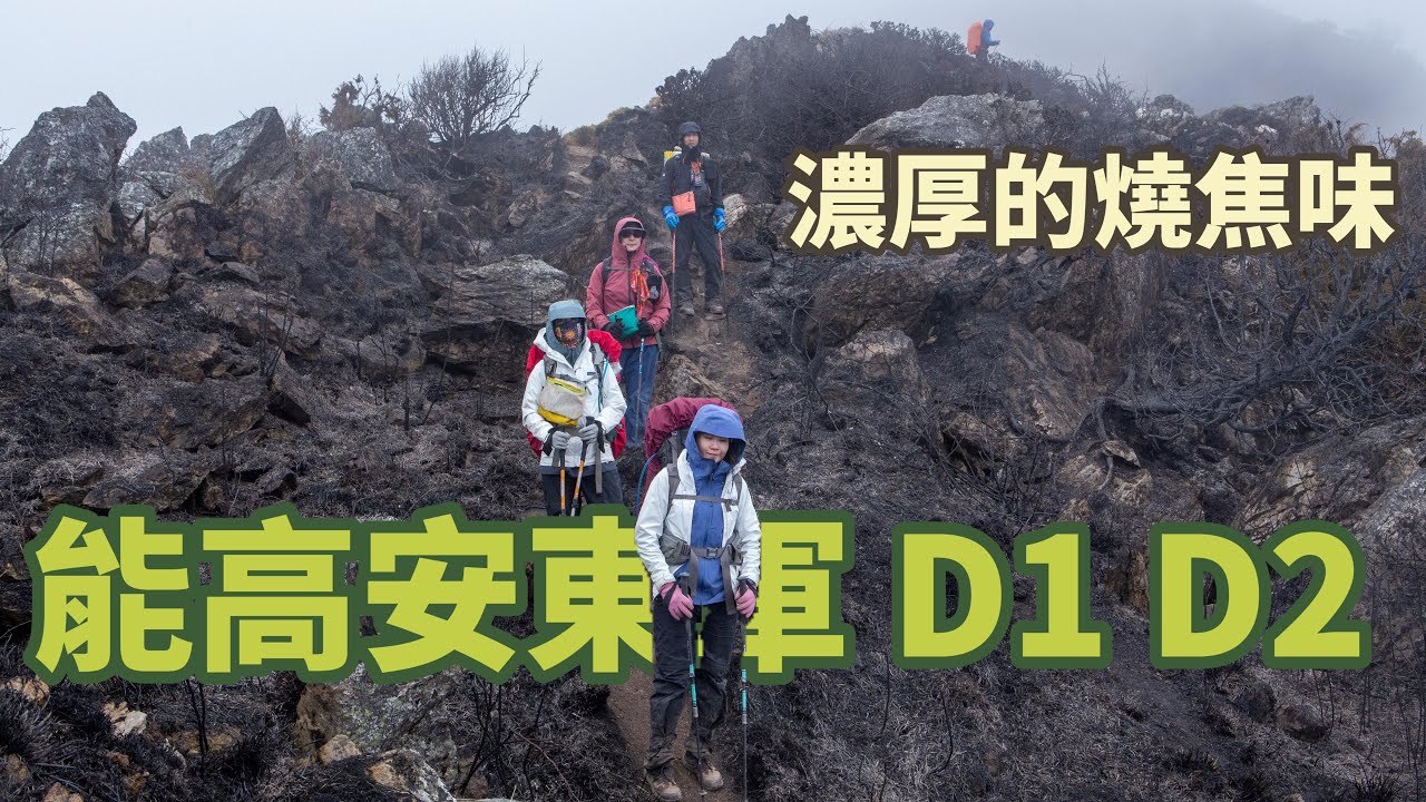 能高安東軍D1、D2 | 濃濃的燒焦味 | 箭竹海裡游泳