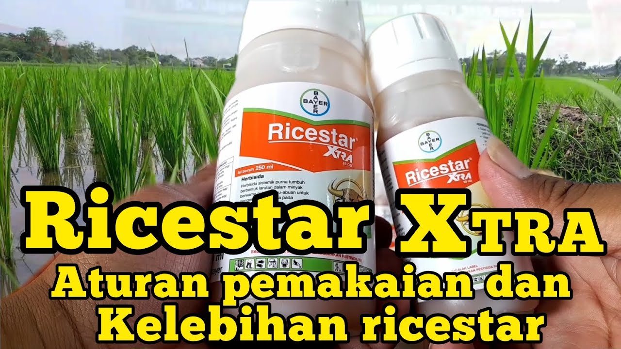 RICESTAR EXTRA. KEUNGGULAN,ATURAN PEMAKAIAN DAN KAPAN DI GUNAKAN.