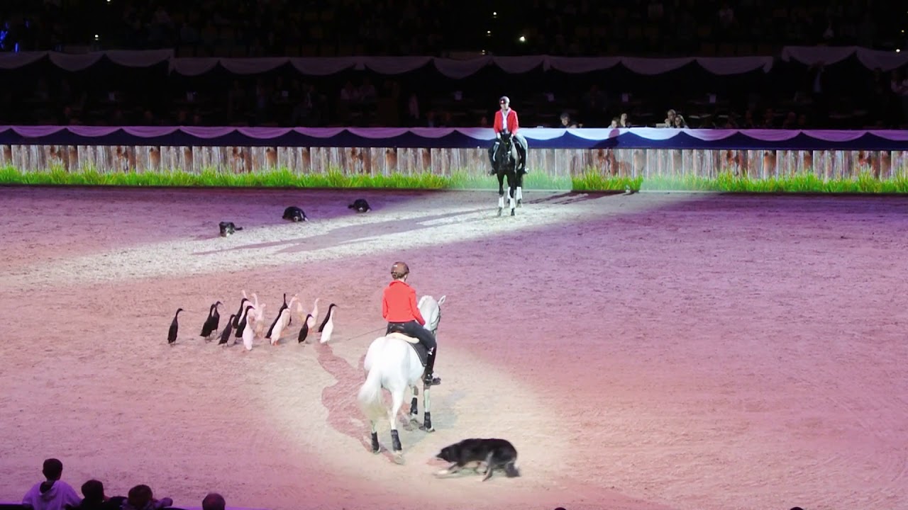Show Munich Indoors 2018