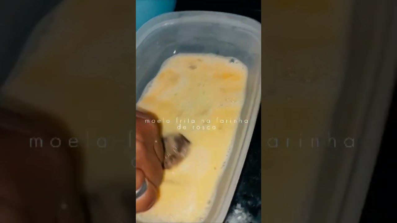 moela frita