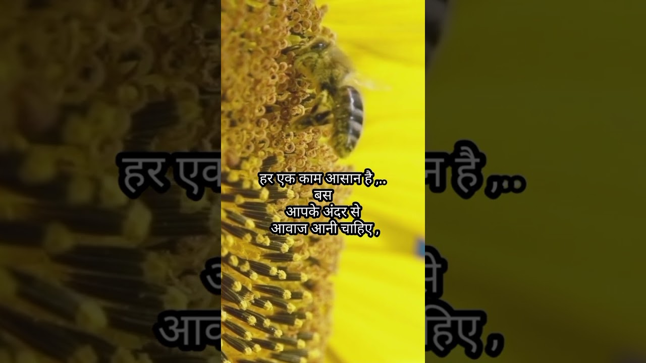 Har kam asan he #motivational#video#best Video#shorts