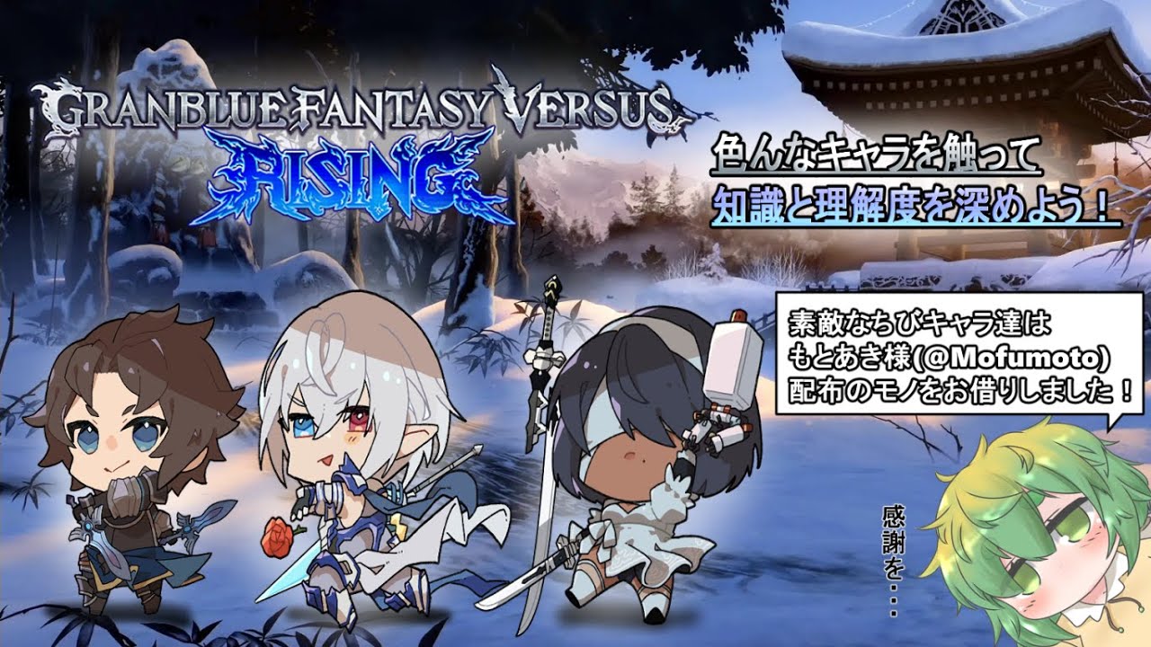 【GBVSR】色んなキャラ触りたい！今回はランス・グリム・2Bの予定です！【本日声なし】