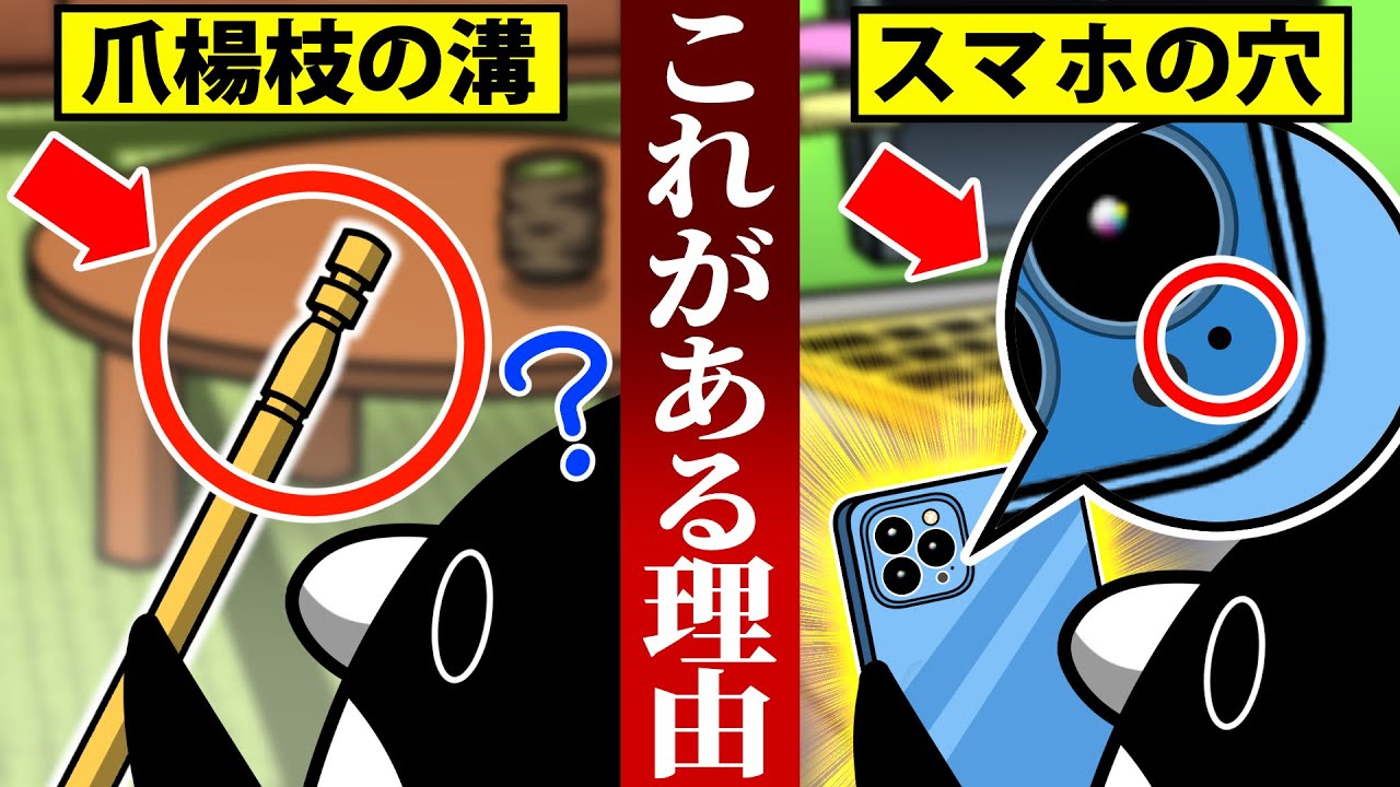 明日から喋れる！知って得する雑学5選【アニメ】