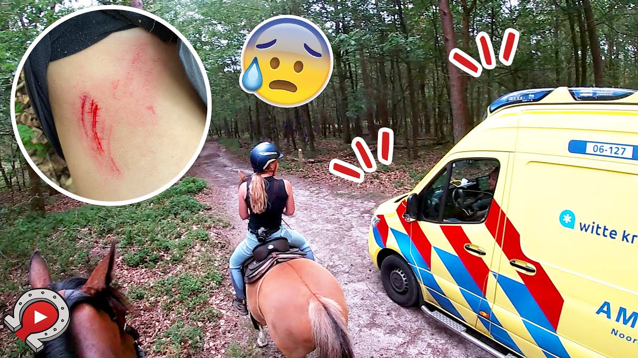 AMBULANCE nodig op de eerste BUITENRIT! | felinehoi VLOG #389