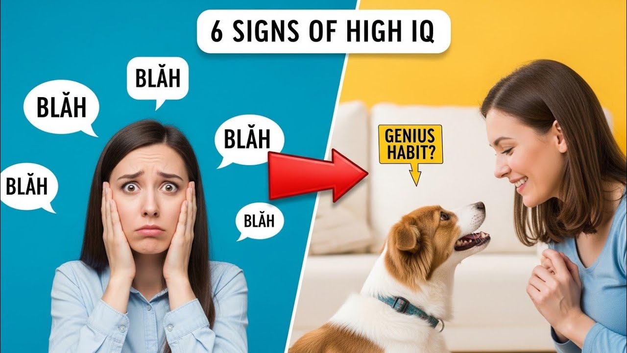 6 Signs You Are Highly Emotionally Intelligent (Do You Do These?) 