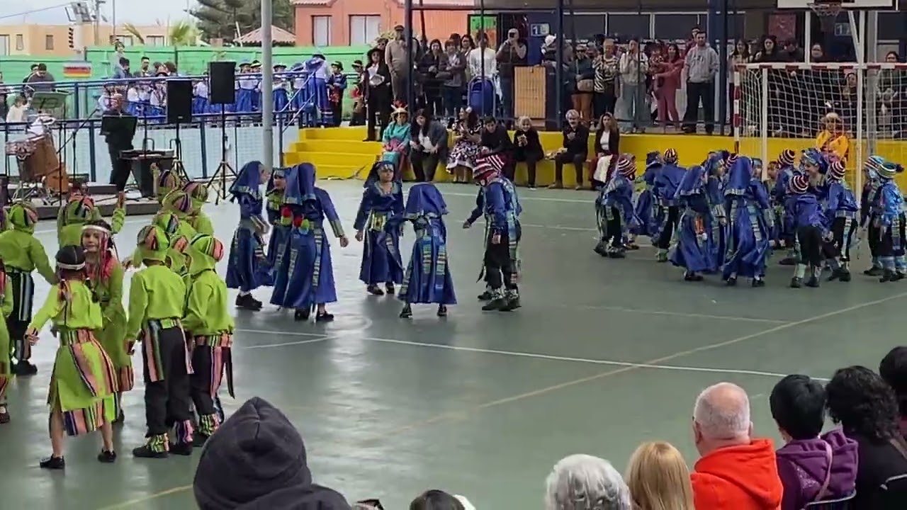 Baile tinku Colegio San Patricio 1*A 2024