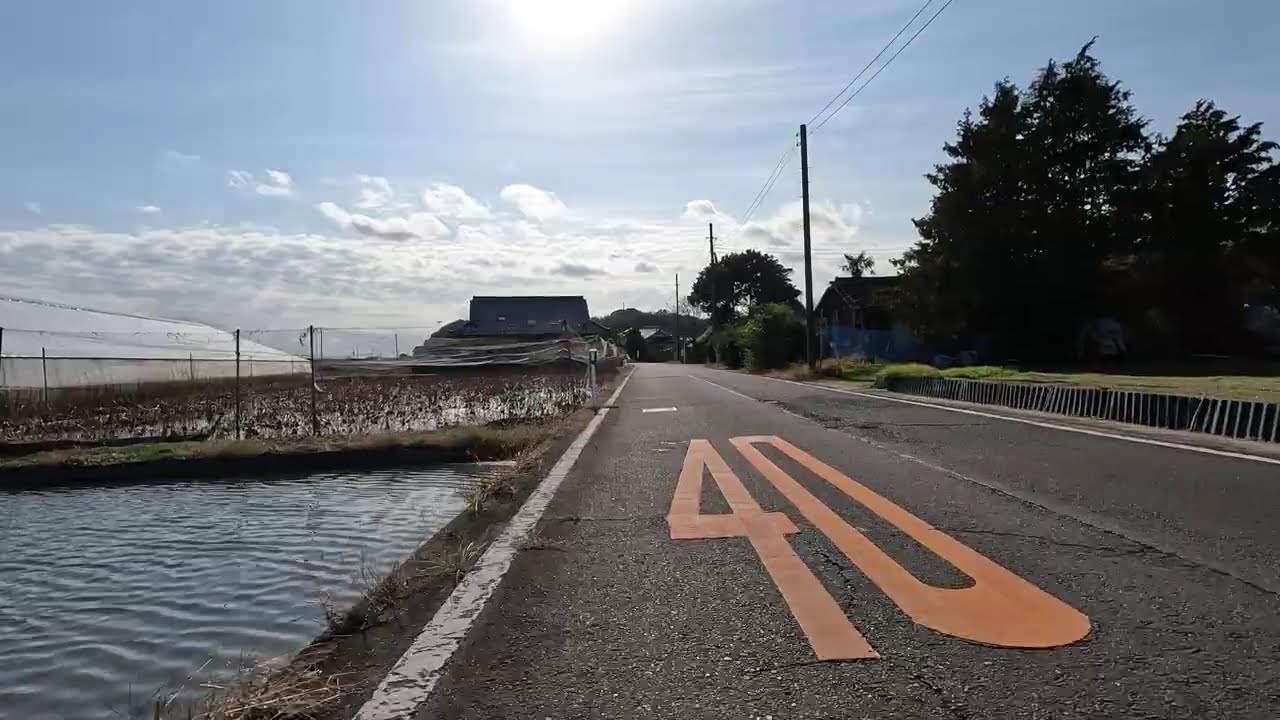 Japan Cycling | Ibaraki Prefectural Route 194 Shishikura Tamari Line (Omitama City) | 4K | Nov. 2025