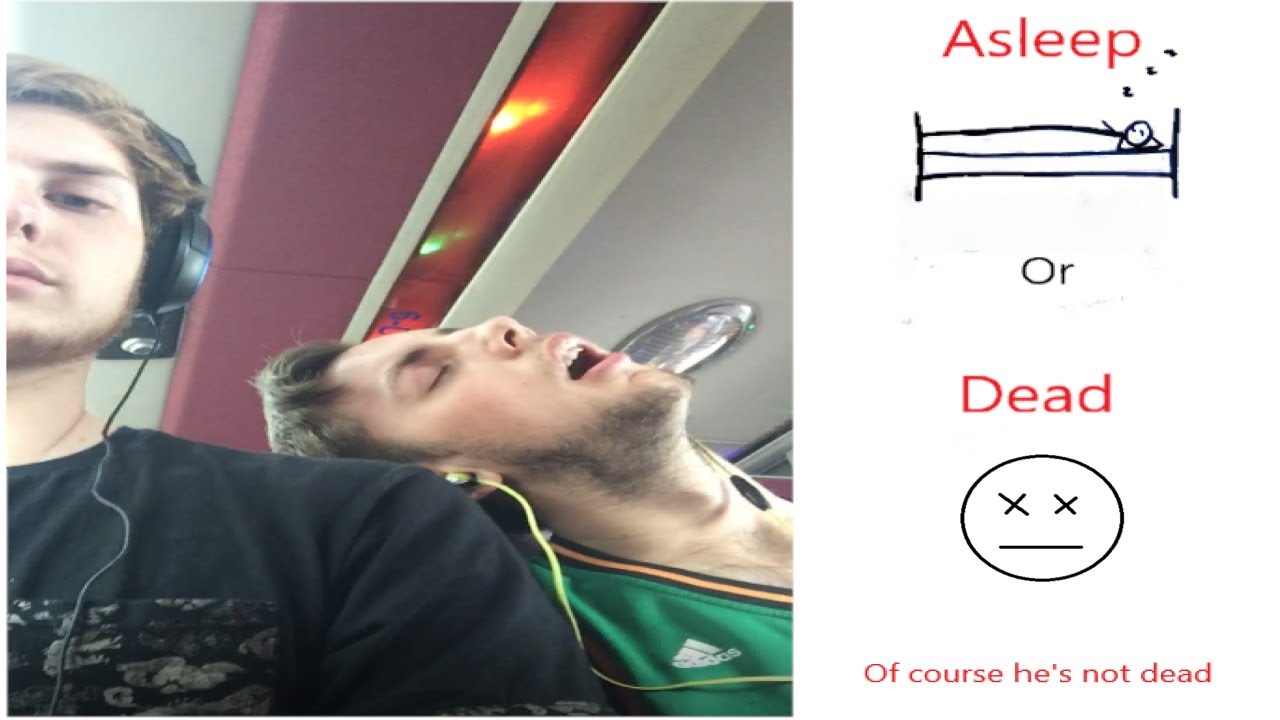 Guy Falling DEAD Asleep On Me On Bus!!