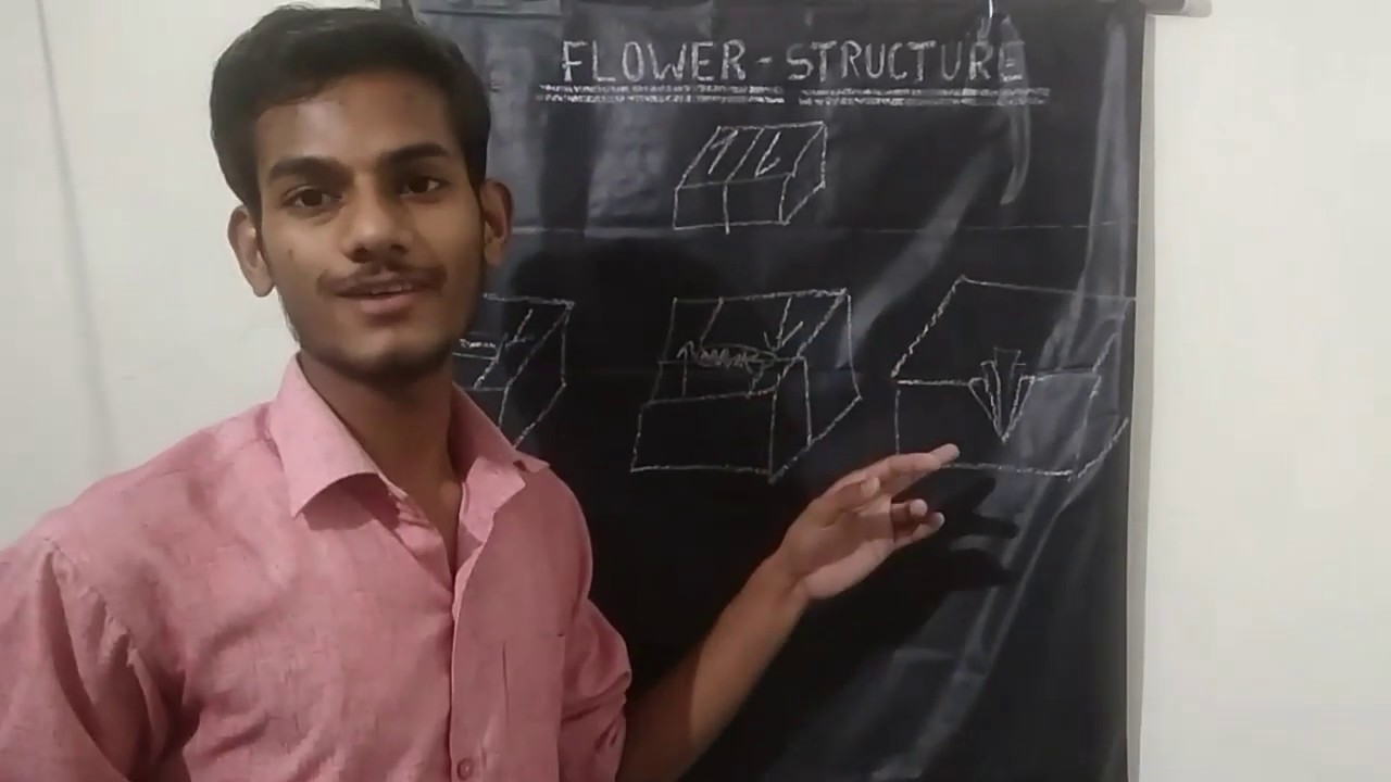 FLOWER STRUCTURE (GEOLOGY)