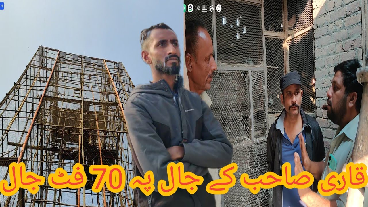 قاری صاحب کے پاس کبوتر لینے گئے تھے قاری صاحب نے کبوتر سیل کر دیا ہے 03431456842