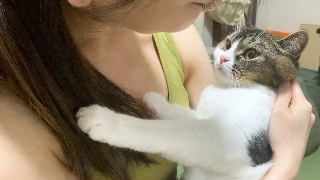 大好きなパパに怒られてガチ凹みする息子猫