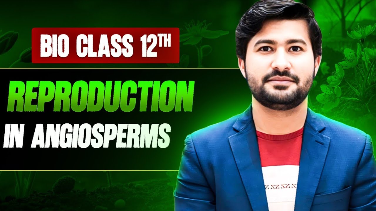 Reproduction in Angiosperms | life cycle of flowering plants | Double fertilization class 12 Biology