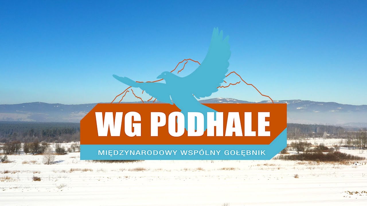 WG PODHALE  2024 - STARTUJE NOWE WG !!!!
