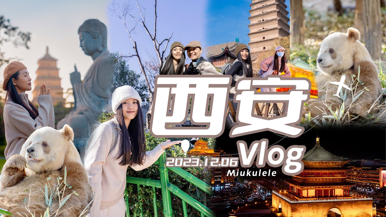 旅行Vlog🐼｜我終於去秦嶺看我的金色寶寶啦！ | 七仔 | 西安 | 熊貓 | panda |