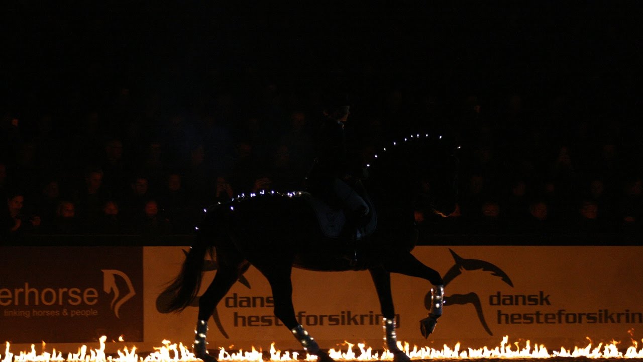 Grand Prix Freestyle on fire. Anna Blomgren & Donna Summer. Herning Horse Show 2017.