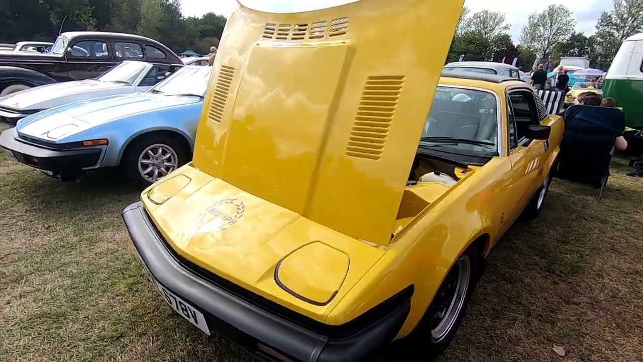 Aylesford classic car show.