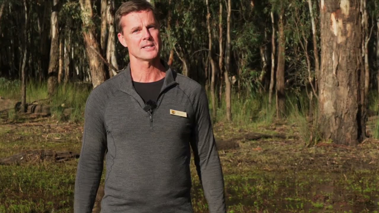 In search of Moira: Barmah-Millewa Forest