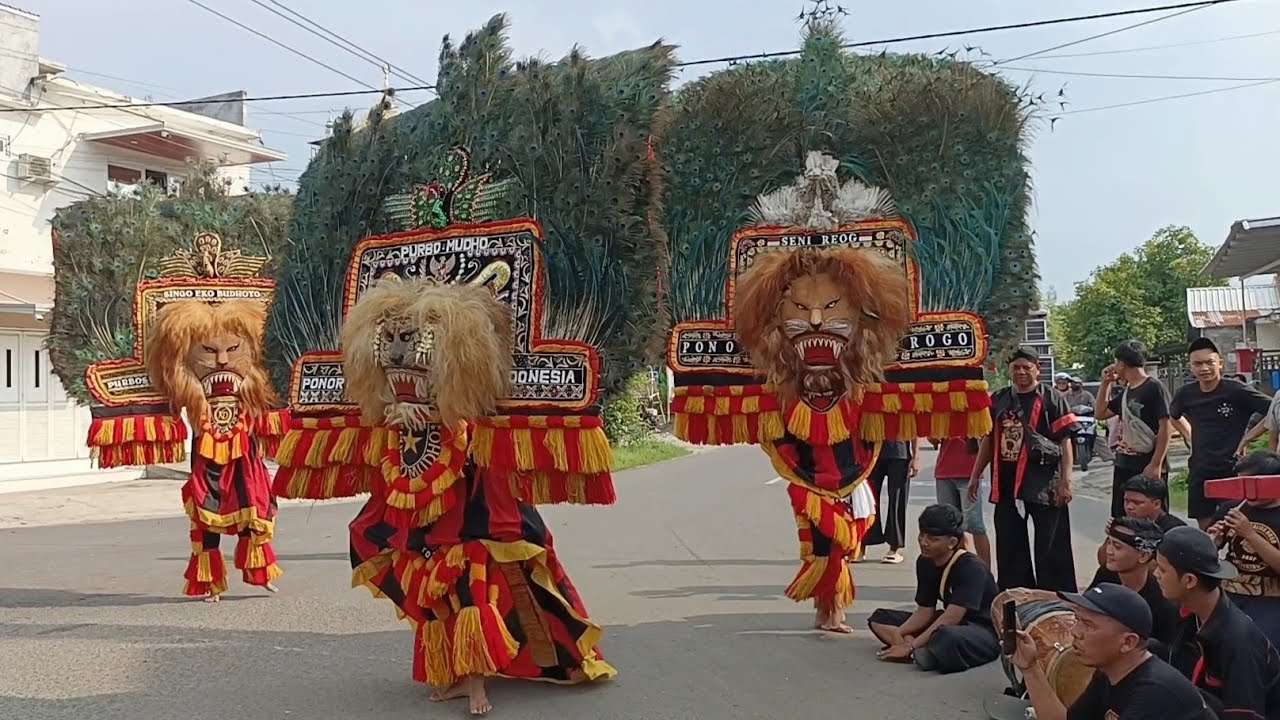 SPEKTAKULER ‼️ PENAMPILAN 3 PEMBARONG REOG PONOROGO GEGERKAN PRAPATAN NGAMBAKAN