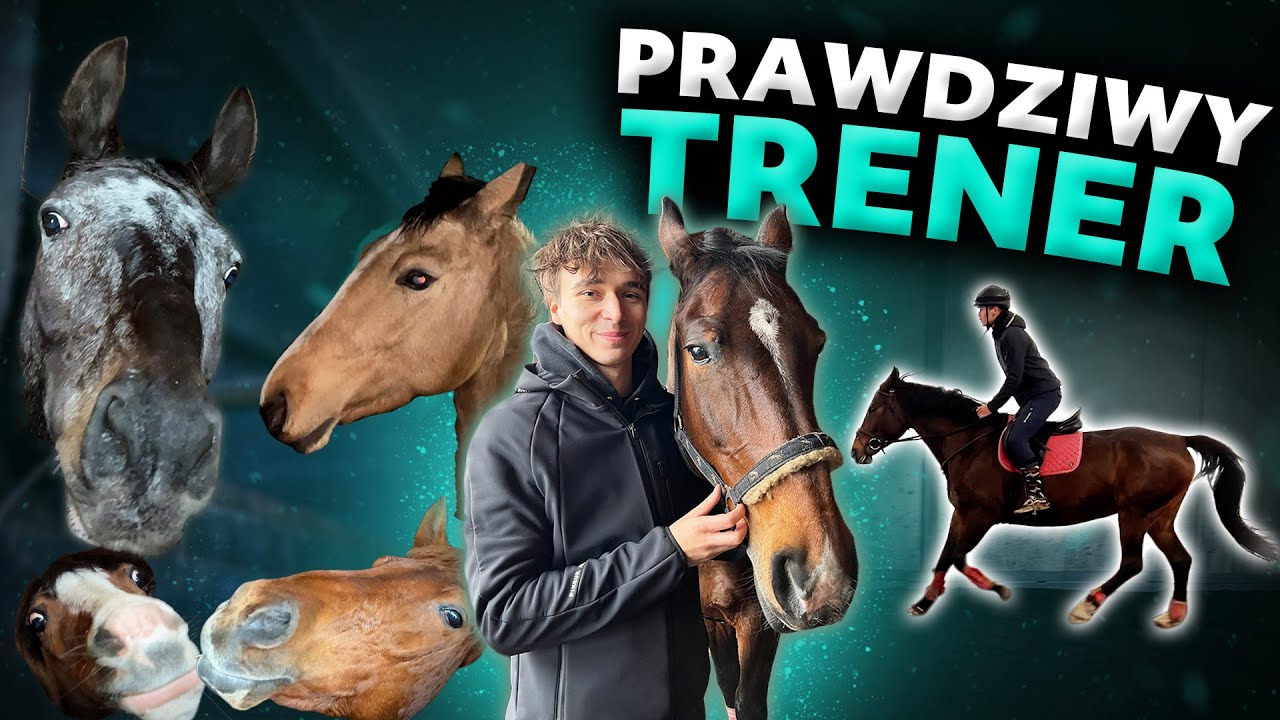 TRENING W SZKÓŁCE! | WSZYSTKIE KONIE Z MOJEJ STAJNI