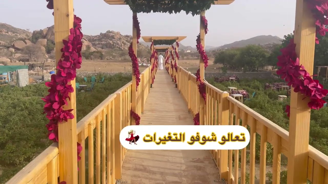 مربط الارياف 🎠وكوفي رسن🍺#الطايف-الشفا-١٤٤٣هـ