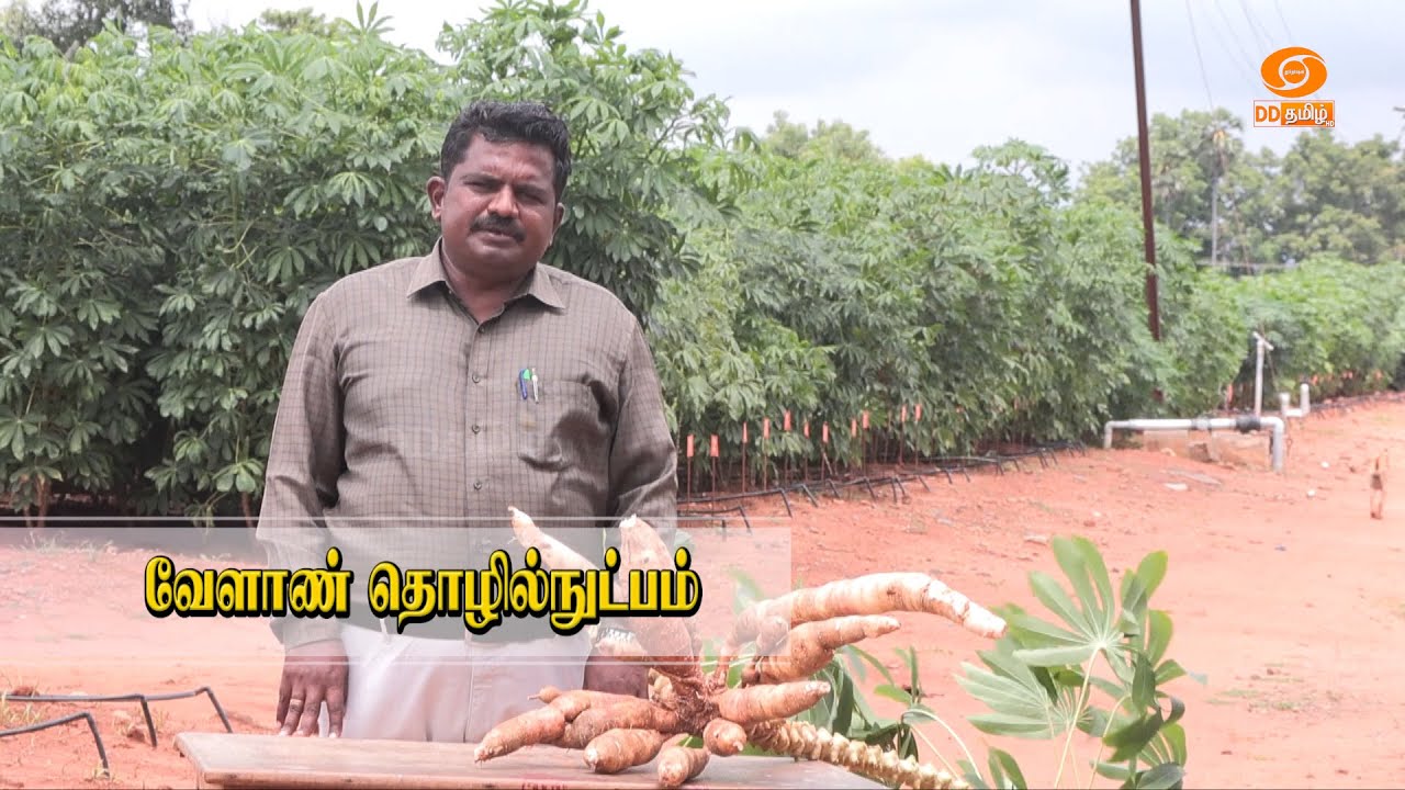 PROMO | பொன் விளையும் பூமி | 31.12.2025 | 