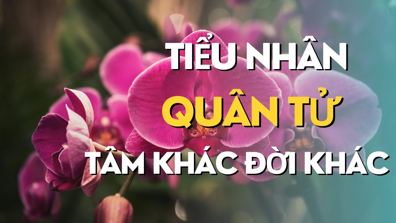 VÌ SAO TIỂU NHÂN LÚC NÀO CŨNG THẤY MÌNH THIỆT THÒI ? | Nghe Để Thức Tỉnh