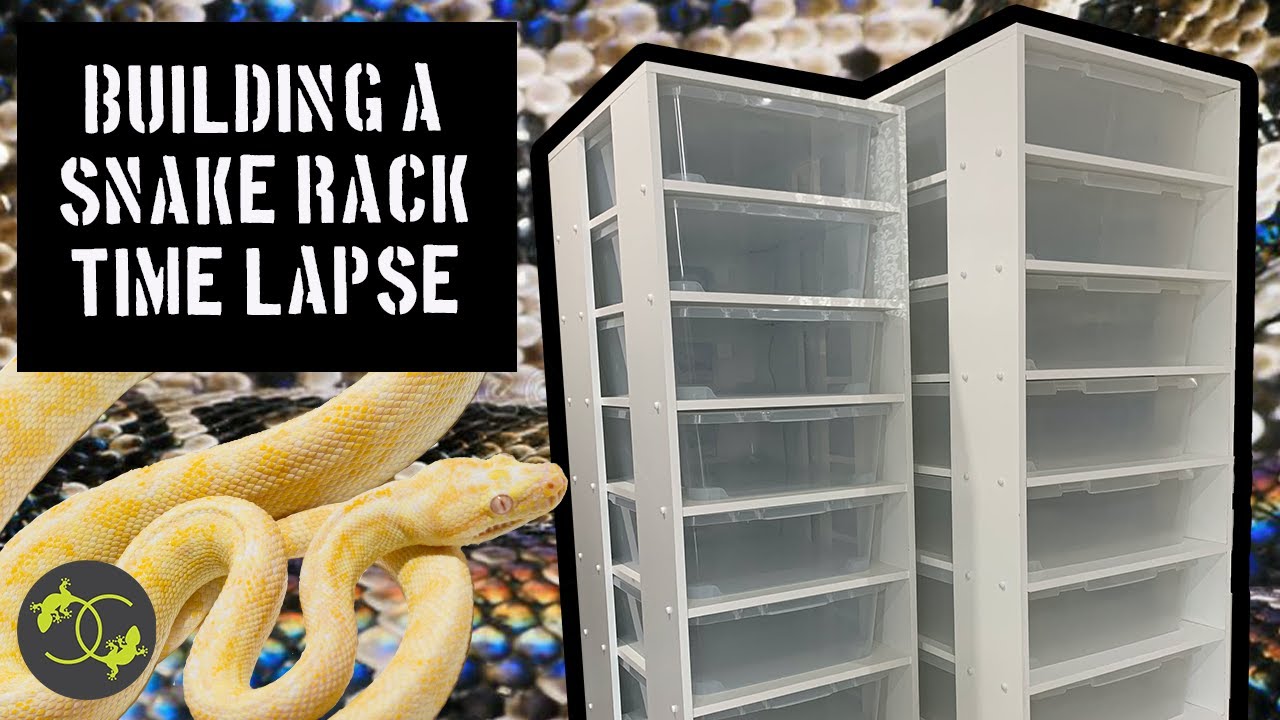 DIY Snake Rack - Building a Snake/Gecko/Skink Rack in Time lapse - Cookies Critters