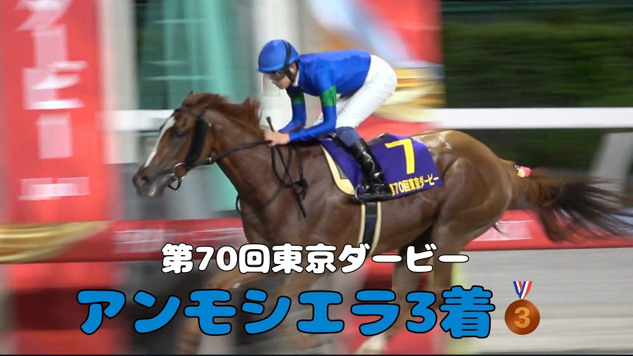 【現地撮影】第70回東京ダービー(JpnⅠ)アンモシエラ3着