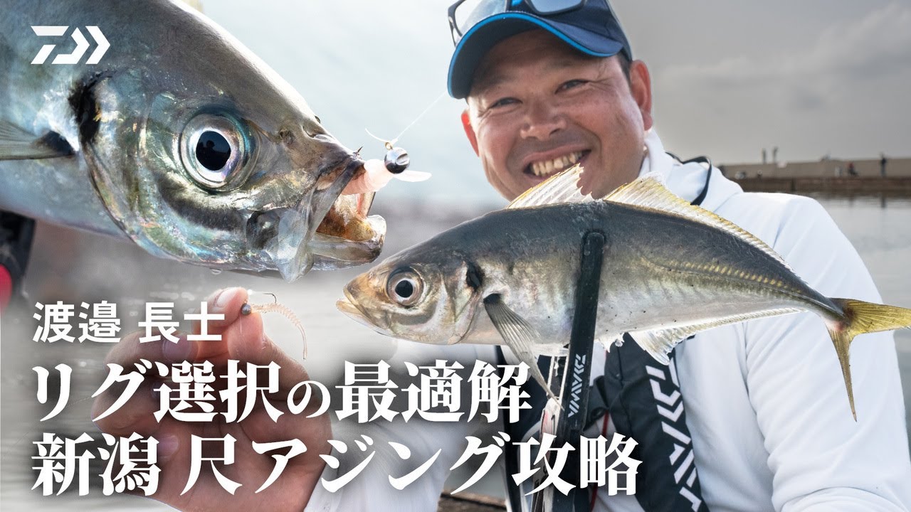[アジング] 新潟 尺アジング攻略 リグ選択の最適解 渡邉長士