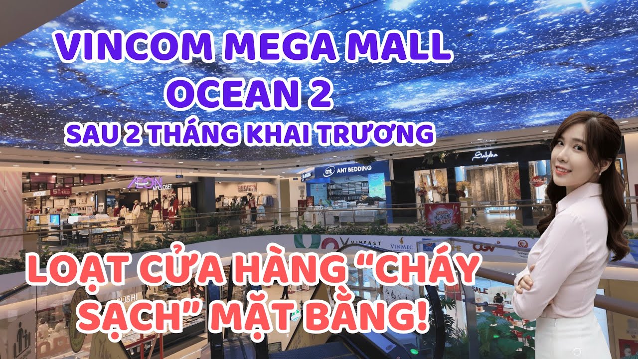 VINCOM MEGA MALL OCEAN 2 – Cú hích khiến Ocean Park 2 & 3 bước vào giai đoạn sôi động nhất