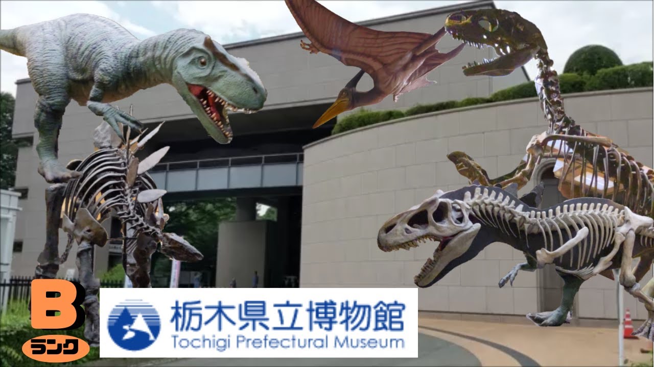 【古生物スポット】栃木県立博物館(Tochigi Prefectural Museum)