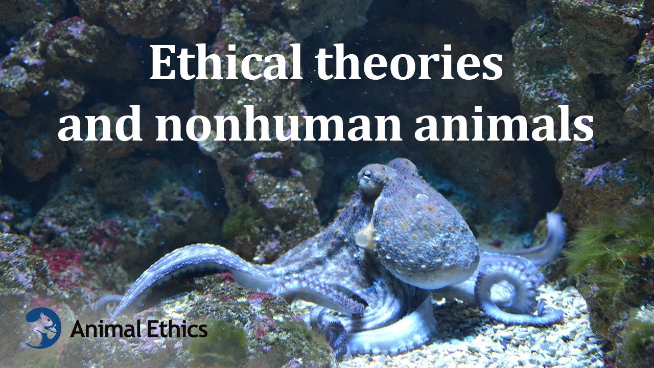 Ethical theories and nonhuman animals