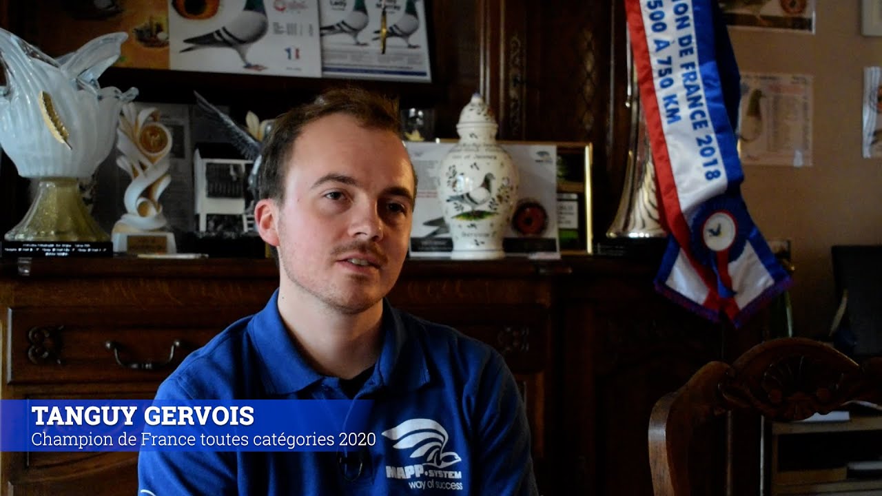 RACING PIGEON - Tanguy Gervois - Champion de France toutes catégories 2020 - (ENG & NL Subtitles)