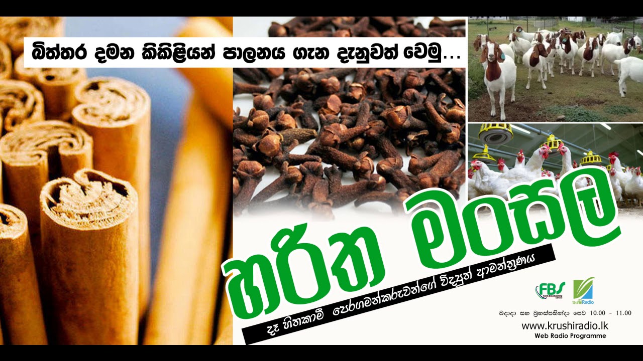 Krushi Radio | බිත්තර දමන කිකිළියන් පාලනය ගැන දැනුවත් වෙමු....