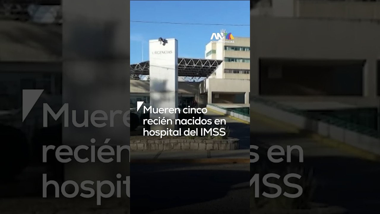 Cinco beb&eacute;s mueren en hospital de Durango