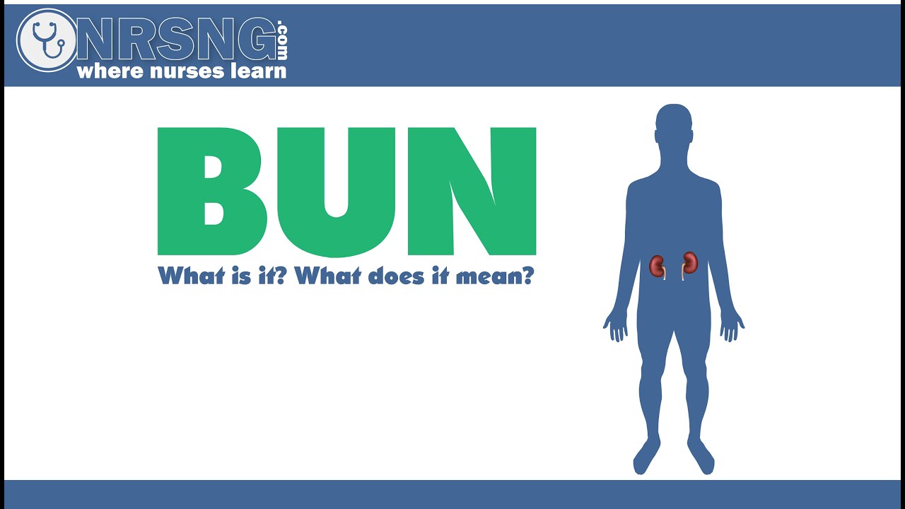 BUN (Blood Urea Nitrogen) What is it? What does it mean?