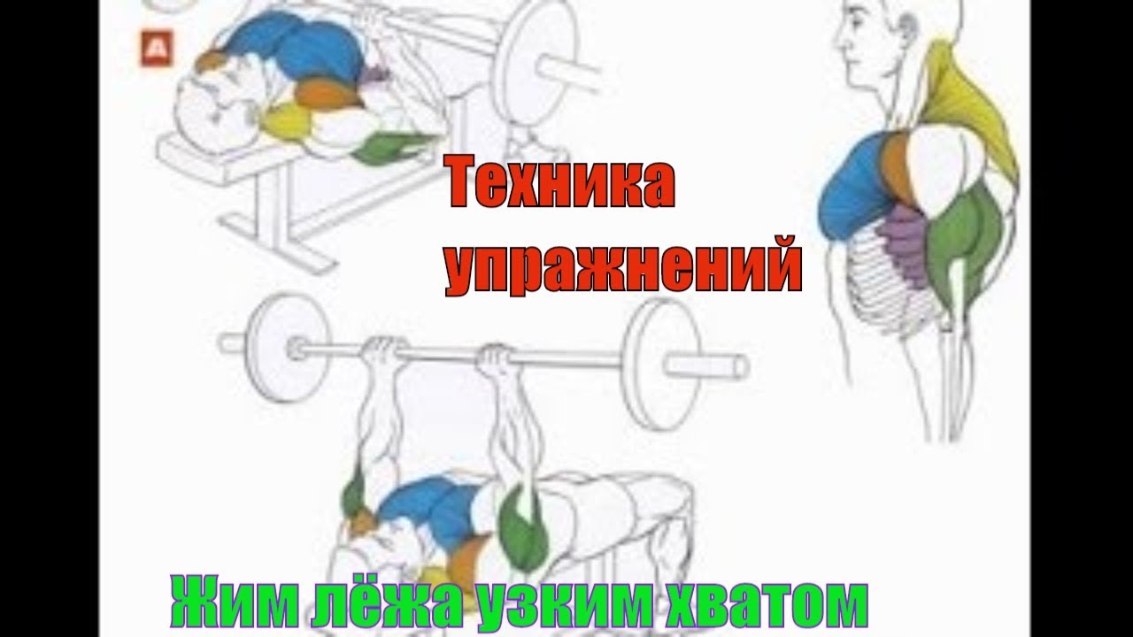 Как накачать трицепс. Жим штанги лёжа узким хватом