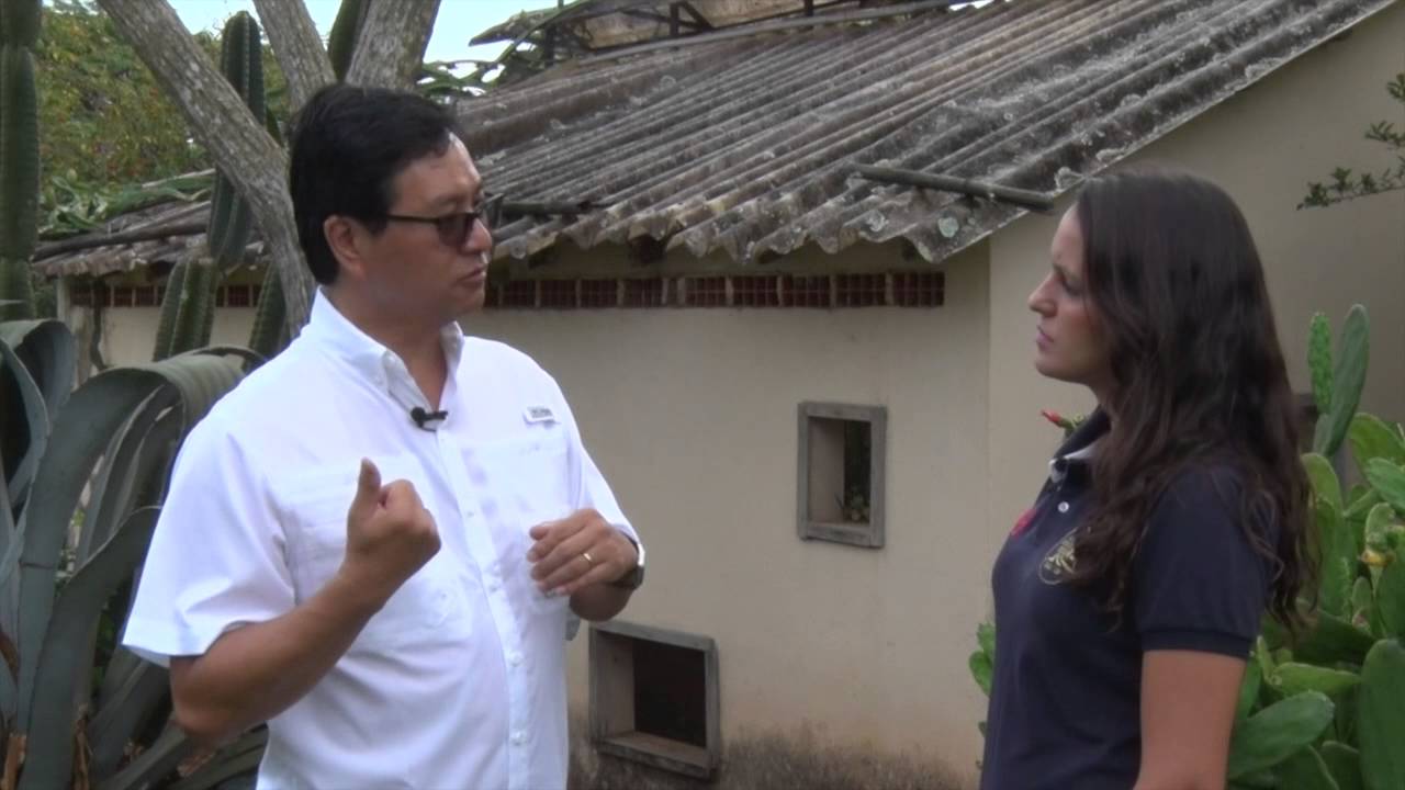 CPRural Responde - Doenças em Frutíferas: Citros