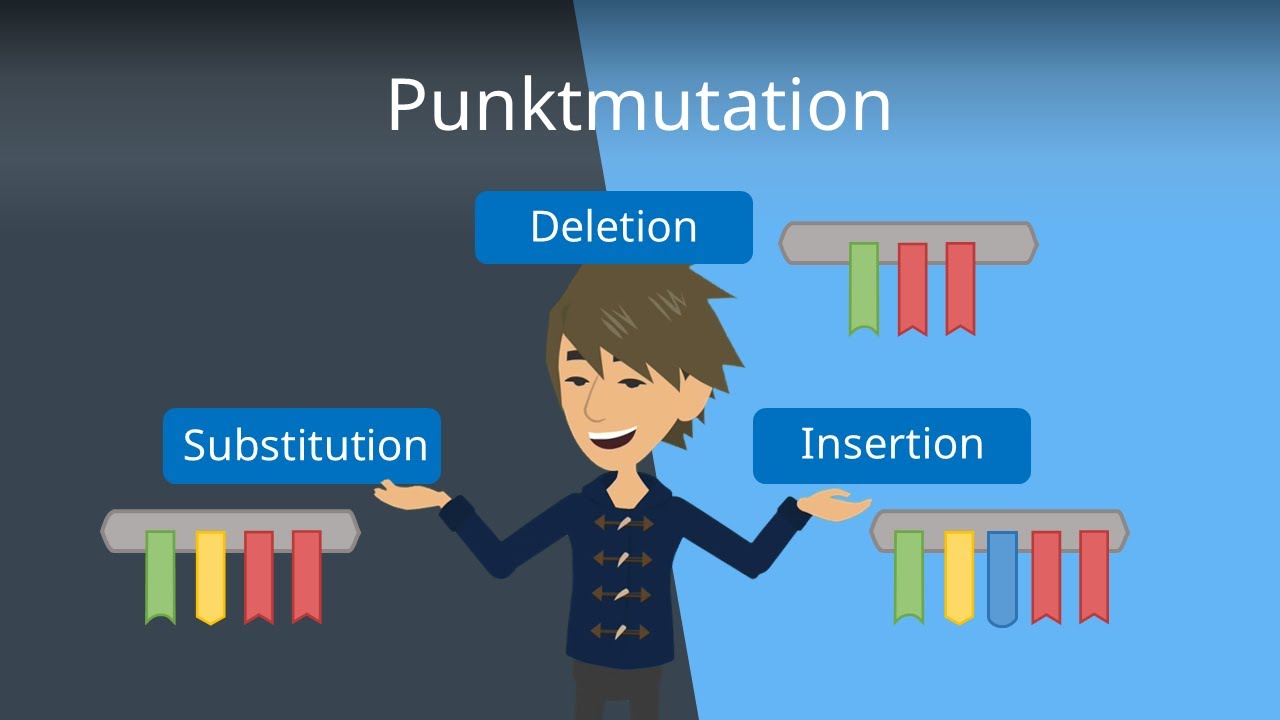 Punktmutation: Stumme, Nonsense- und Missense Mutation einfach erkl&auml;rt!