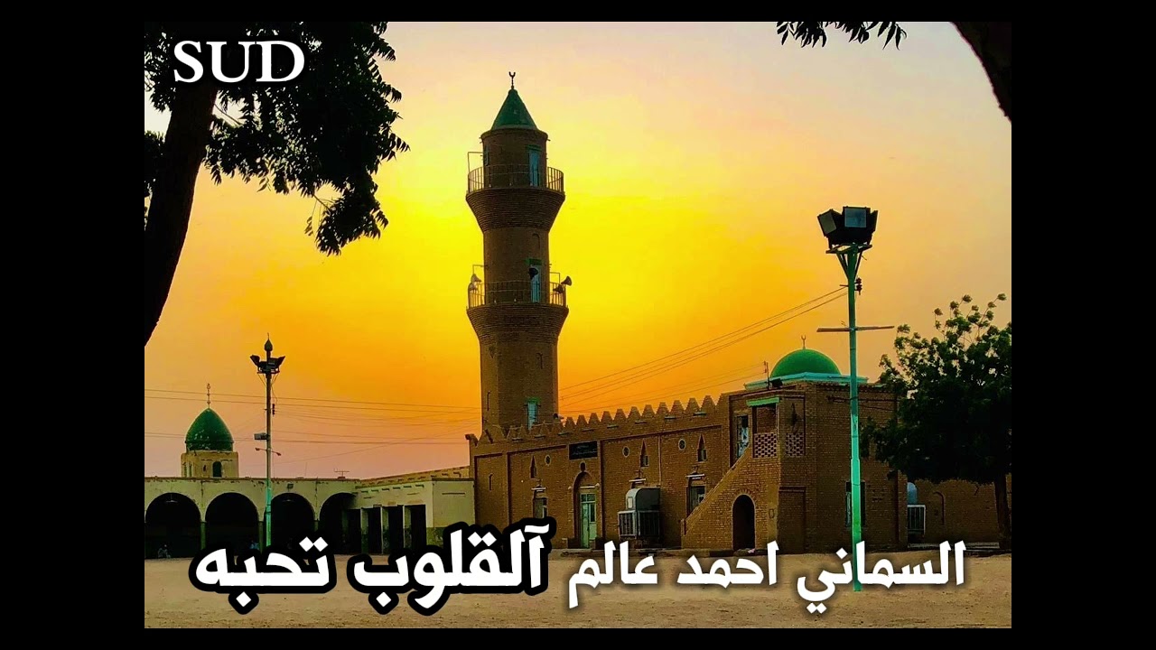 إن القلوب تحبه من روائع المادح الراحل السماني احمد عالم !