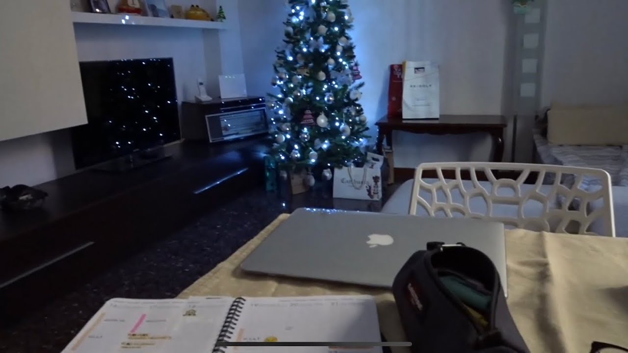 prima nevicata | studyvlog