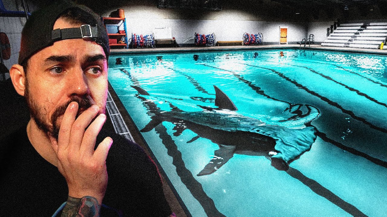 There's a Shark in My Pool and I'm Trapped With It.. (Sharks and Minnows)