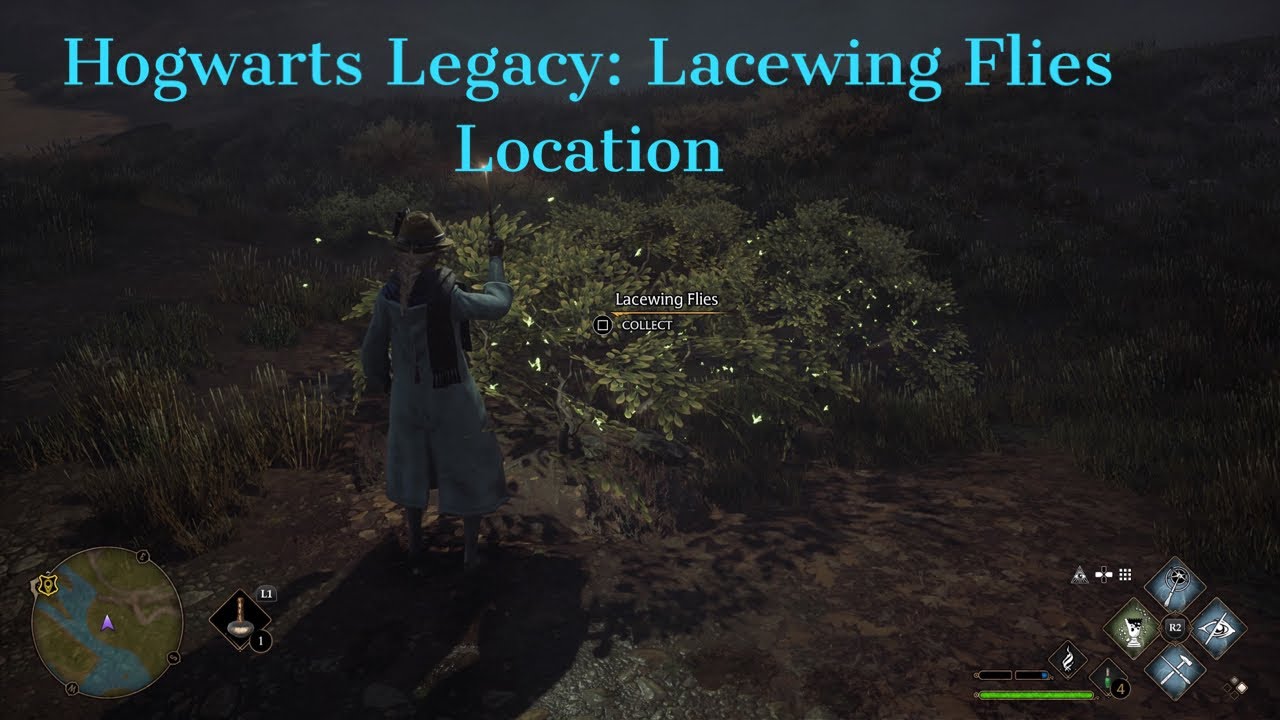 Hogwarts Legacy - Lacewing Flies Location Guide