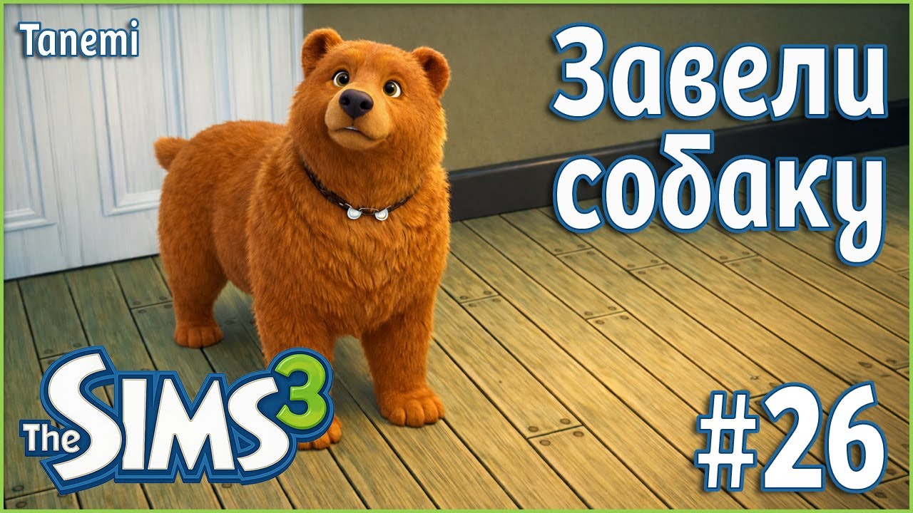 The Sims 3 Ананасисы #26 Завели собаку