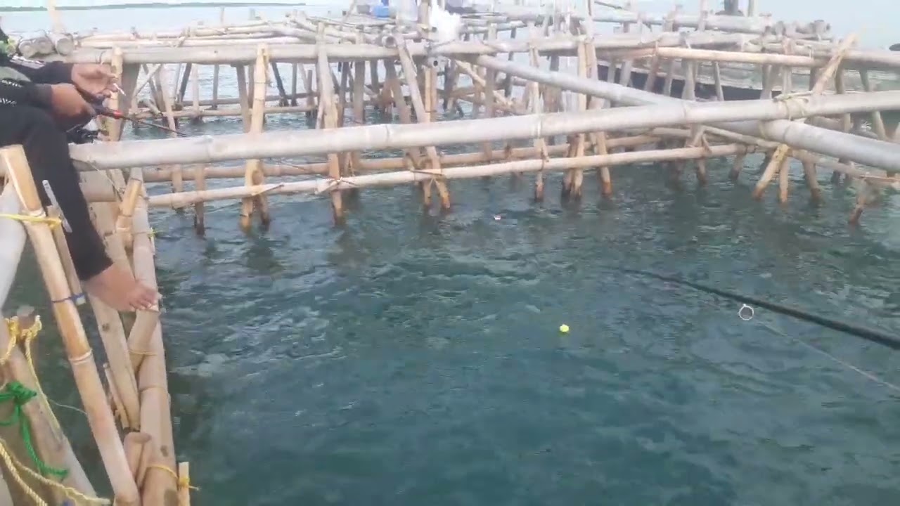 Spot Bagan Kapten Lembing dan Kapten Vijay Kopo Tengkurak. 