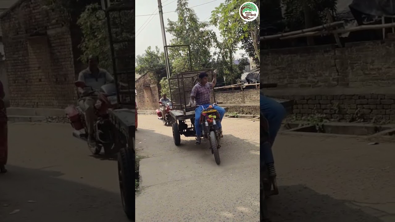 ইলামবাজারের GS কলোনি এক অসহায় হনুমান বিদ্যুৎস্পৃষ্ট হয়ে গুরুতর অসুস্থ অবস্থায়,,,