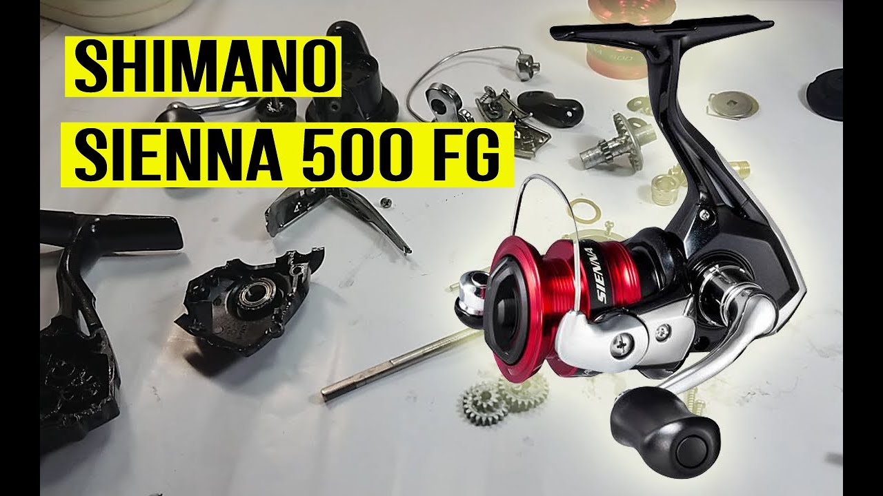 servis reel shimano sienna 500 fg