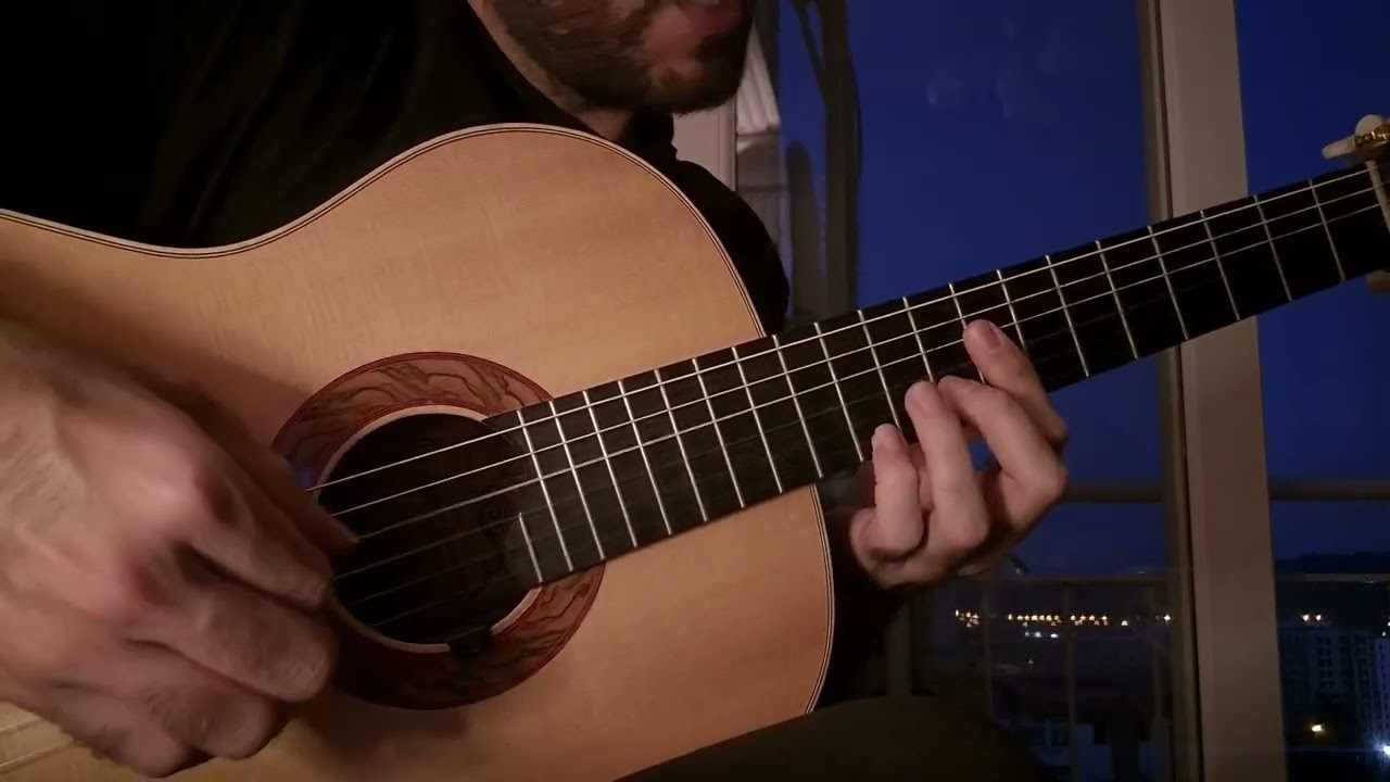 Sylvain Luc - Out of the Night Came You