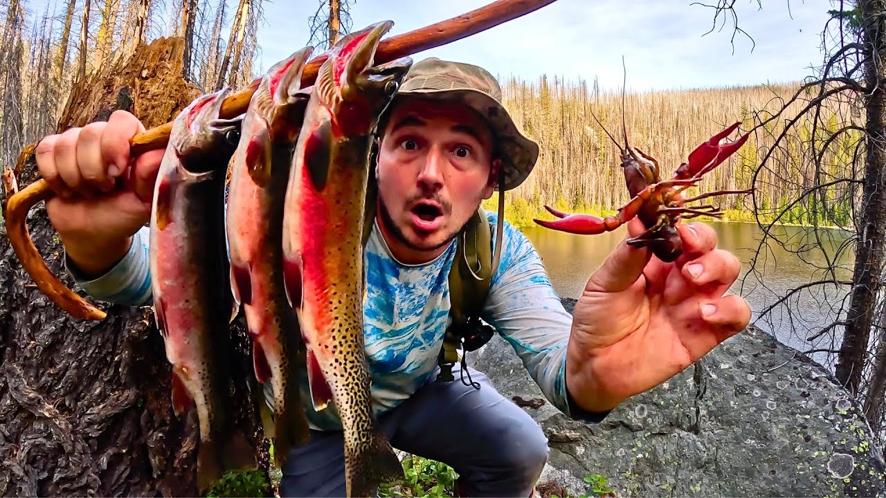 Trout Fishing & Foraging for Food ALONE in the Mountains!!! (Catch & Cook)